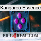 Kangaroo Essence 04